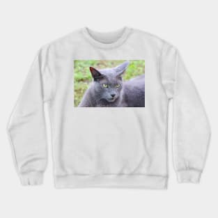 Monsieur Gris Crewneck Sweatshirt